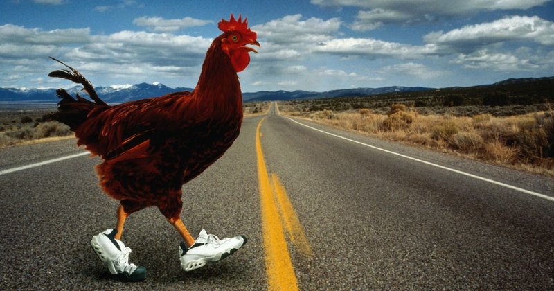 Descubre el Emocionante Juego de la Carretera del Pollo en España en Línea, chicken road online