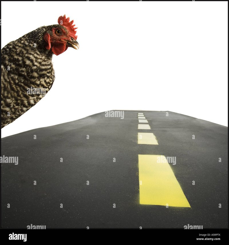 Image: Het Legendarische Spel Speel Nu Chicken Road Casino in Nederland