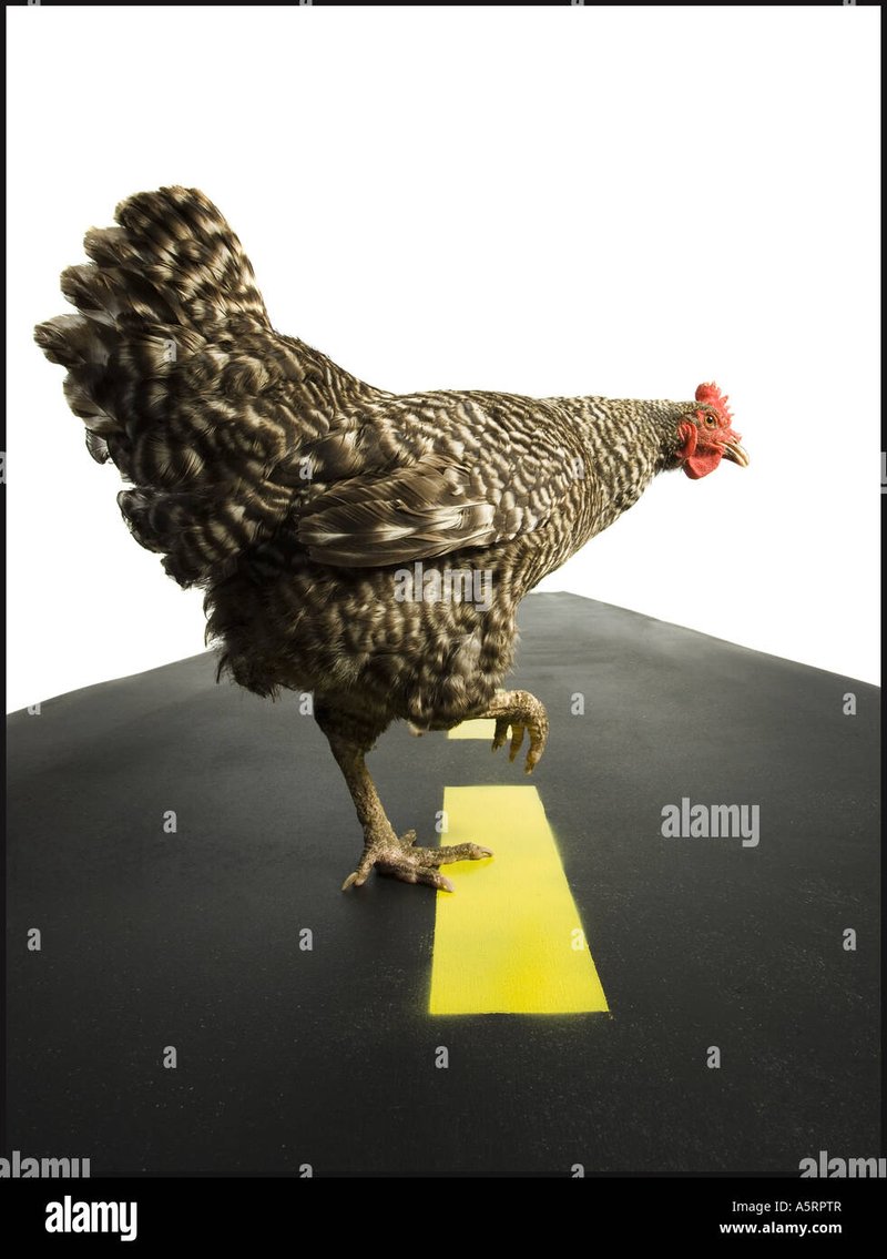 Chicken road oyna, chicken road Chicken road oyna, chicken road